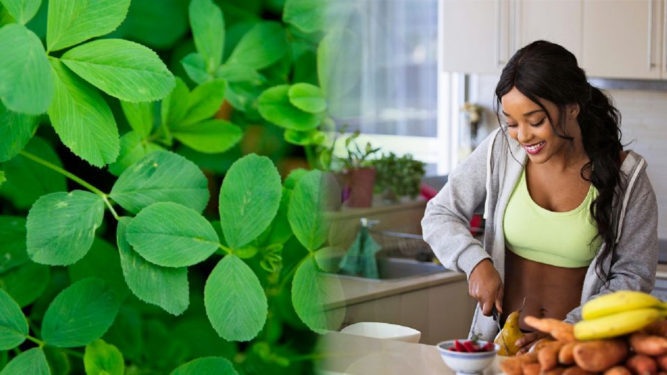 Tradición, ciencia y cultura: la importancia de la alfalfa.