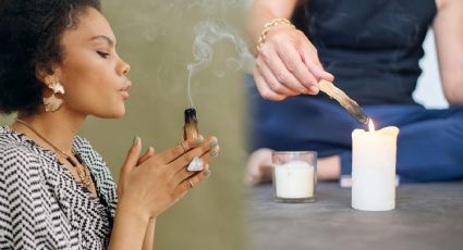 Esta popular planta medicinal ayuda a curar desde llagas hasta gastritis o úlceras según la UNAM