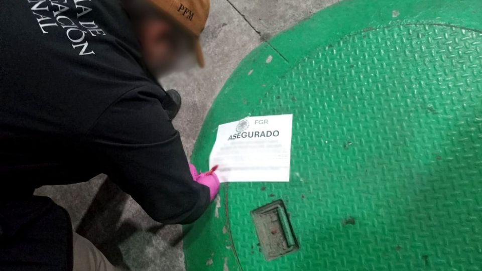 Lo asegurado y detenidos, quedaron a disposición del Ministerio Público Federal.