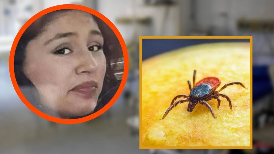 Evelin García recibió un diagnóstico erróneo y perdió la vida por Rickettsia