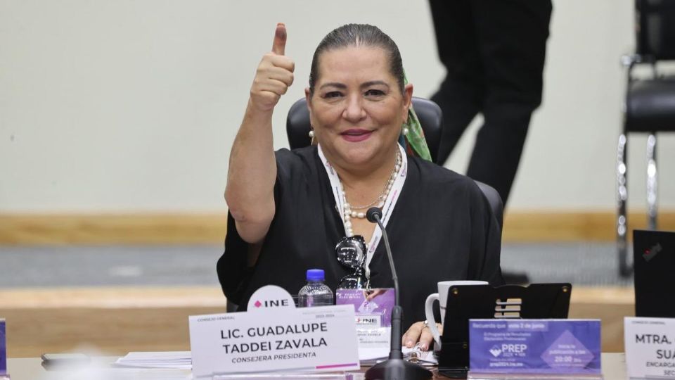 Indicó que la implementación de este nuevo modelo electivo quedará registrada en nuestra democracia.