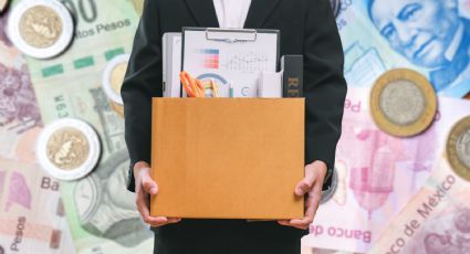 Analistas prevén solo 157 mil empleos en 2025: 'la cifra más baja en los últimos 16 años', advierte especialista