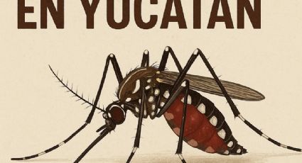 Dengue en Yucatán 2025: panorama, cifras y medidas