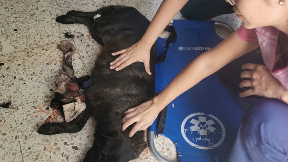 Negrito lesionado tras ser atacado con un machete en Yucatán