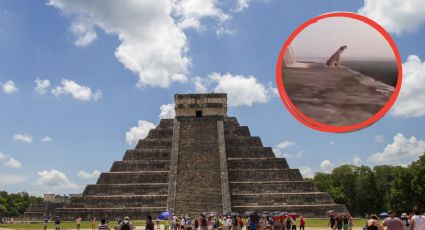 Perrito escala pirámide de Kukulkán en Chichén Itzá y aúlla hacia el cielo | VIDEO