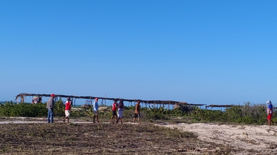 Pobladores realizan desmonte de la fauna en la duna costera de Sisal.