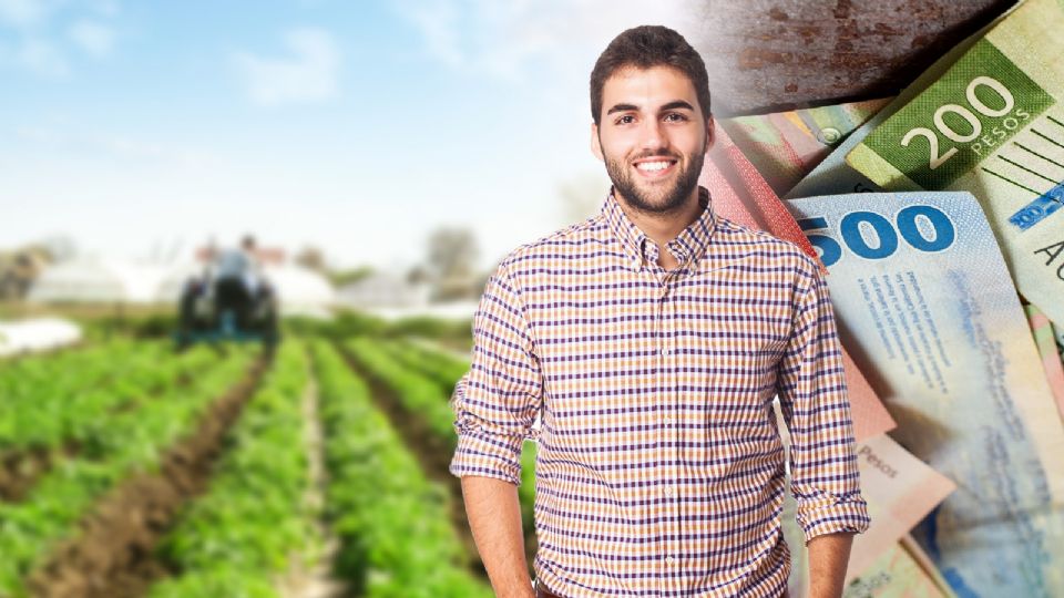El seleccionado para esta vacante deberá implementar políticas públicas que fomenten la organización y cooperación económica de productores agrícolas.