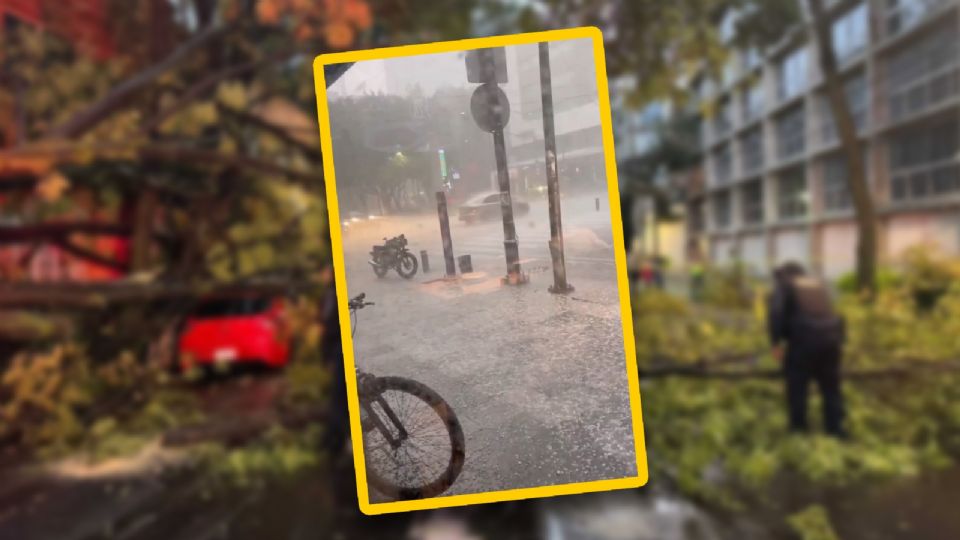 Evita viajes innecesarios y sigue las recomendaciones.