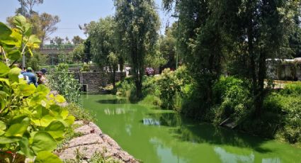 Entregan cuerpo de mujer hallada en Canal Nacional