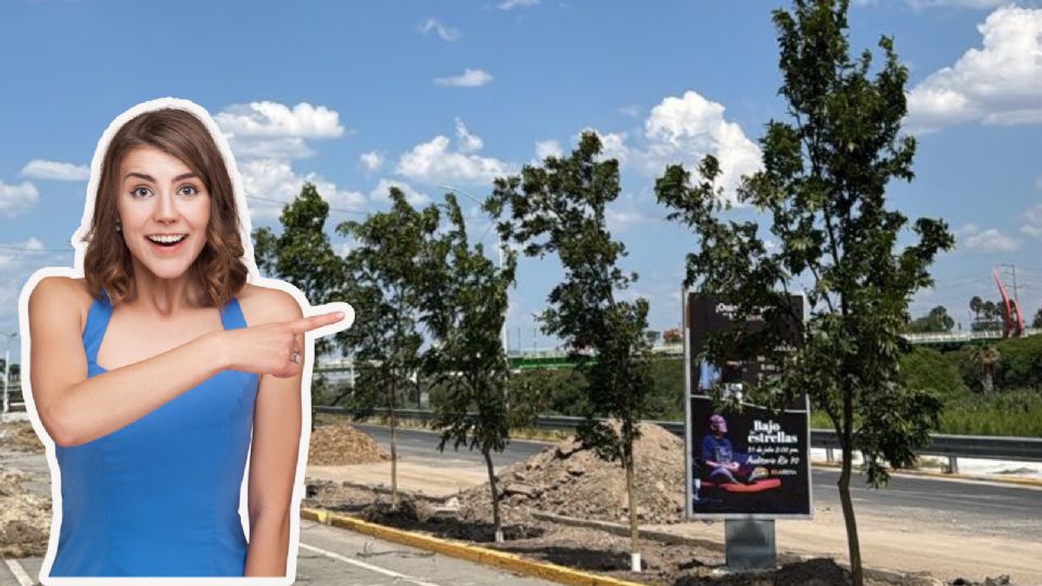 Morones Prieto y Constitución ahora tendrán corredores verdes, como parte de una transformación histórica impulsada por el Gobierno de Nuevo León.