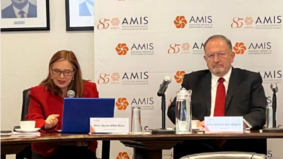 Norma Alicia Rosas destacó que en la última década ha aumentado en 69% la proporción de personas afectadas por desastres, incluidos los climáticos.