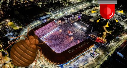 VIDEO | Asistentes reportan avistamiento de chinches en el Estadio GNP