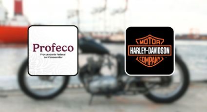 Profeco y Harley Davidson alertan por fallas en casi 500 motos en el amortiguador trasero y llaman a revisión