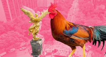 Zona Gallo CDMX: ¿Qué es y por qué se ha hecho viral?