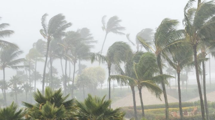 Conagua advierte la creación de un posible Ciclón Tropical cerca de Quintana Roo