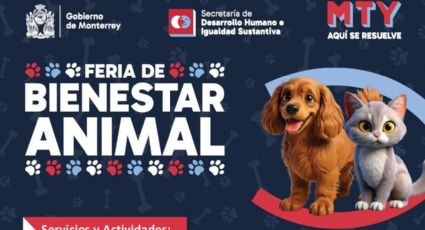Feria de Bienestar Animal: así puedes adoptar un perro en Monterrey