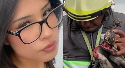 ¿Quién es Daniela Barragán, joven desaparecida tras explosión de pipa en Zaragoza?