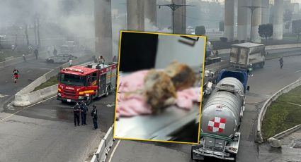 Tragedia en Iztapalapa: Piden ayuda para ‘Cereza’, perrita embarazada víctima de la explosión de pipa de gas