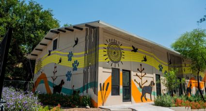 Así ve el Centro Estatal de Atención Animal en Nuevo León