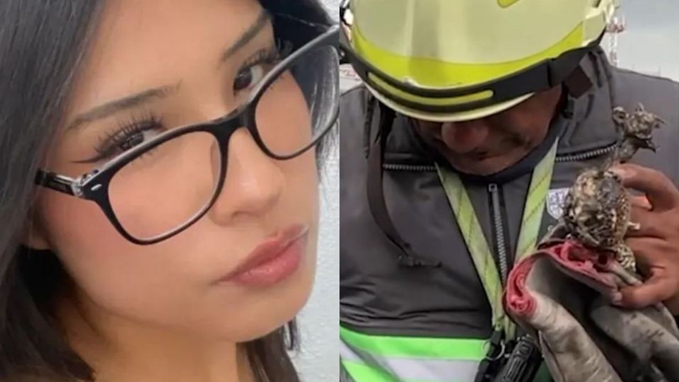 ¿Quién es Daniela Barragán, joven desaparecida tras explosión de pipa en Zaragoza?