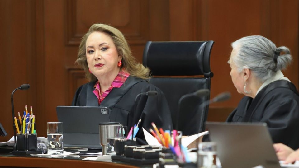 La Ministra Esquivel Mossa expresó que la consulta es necesaria.