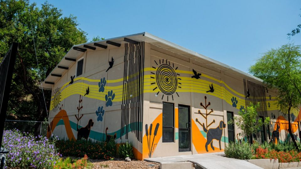 El Centro Estatal de Atención Animal en Nuevo León cuenta con áreas de atención médica, recuperación y adopción para animales rescatados.