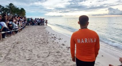 Personal Naval participa en liberación de tortugas marinas en Playa Chenkán de Champotón, Campeche