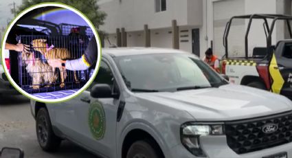 Rescatan a mascotas del Centro de Bienestar Animal de Santa Catarina, lugar sigue clausurado