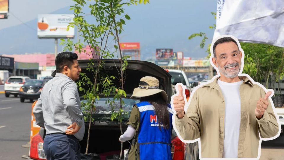 El programa Adopta un Árbol en Monterrey busca incrementar la cobertura vegetal con especies nativas de la región.