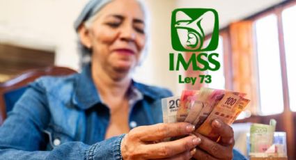 IMSS Mi Pensión Digital: el proceso para una jubilación sin complicaciones