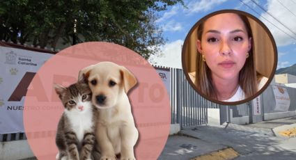 Santa Catarina sacrificó 1,770 animales en dos años, revela Mariana Rodríguez