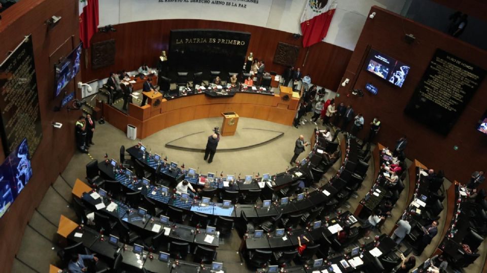 La senadora por el PAN, Guadalupe Murguía, aseguró que este hecho representa una falta muy importante.