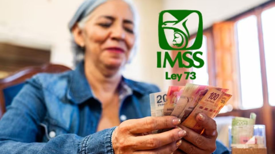 Si estás cerca de tu jubilación, el proceso para obtener tu pensión por cesantía en edad avanzada o vejez ya no tiene que ser complicado.