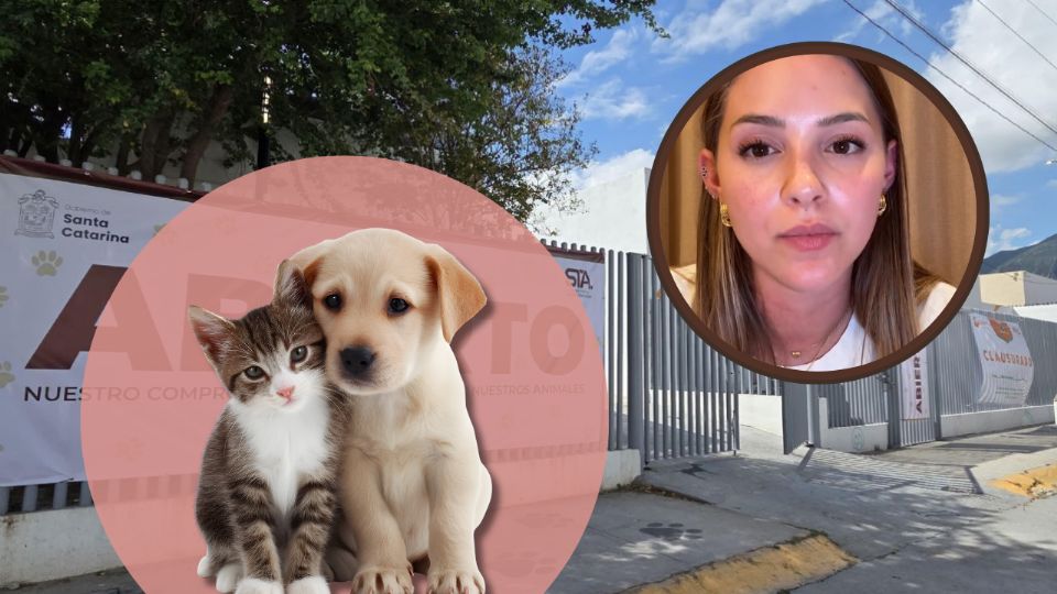 Mariana Rodríguez pidió transformar la indignación por el sacrificio de animales en Santa Catarina en acciones que prioricen la adopción y la esterilización.
