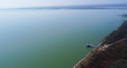 Nivel de las presas de NL HOY 12 de noviembre de 2025