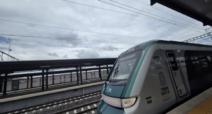 Continúa ecocidio de las tierras del ejido de Ucú por Tren Maya