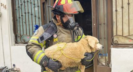 Incendio en tejabán deja 14 personas y dos perritos desalojados en Monterrey