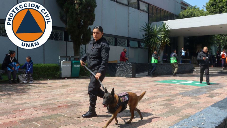 Checa el protocolo en caso amenaza de explosivo en instalaciones universitarias y síguelo.