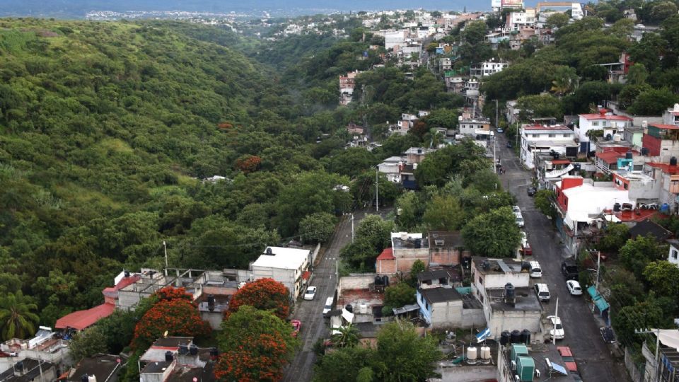 Aseguradoras en México pagaron  276 millones de pesos derivados de siniestros ocasionados por sismos.