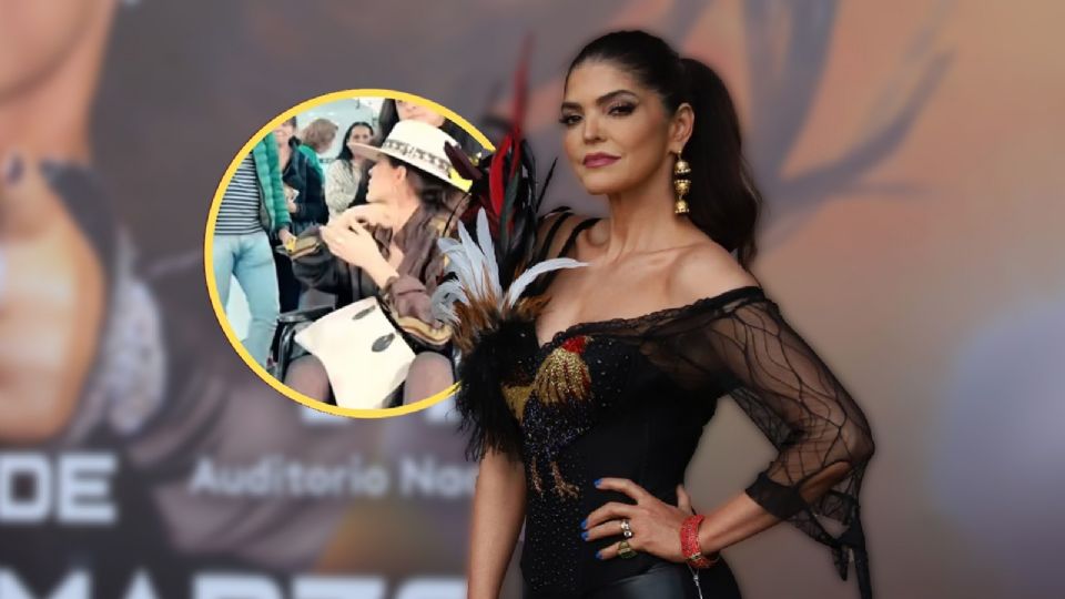 Ana Bárbara reaparece en sillas de ruedas, y preocupa a fans.