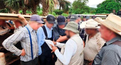 Profepa clausura 17 predios por cambio ilegal de uso de suelo en la Península de Yucatán