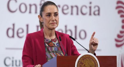 Sheinbaum dice que no hay pruebas del Tesoro contra la diputada de Morena, Hilda Araceli Brown