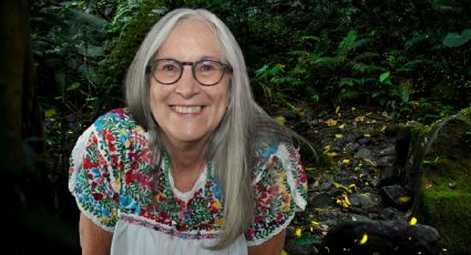 Así es la luciérnaga que fue nombrada Julieta Fierro en honor a la divulgadora científica