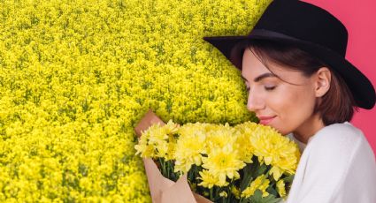 21 de septiembre: ¿Por qué se regalan flores amarillas hoy?