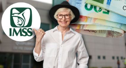 IMSS lanza “Mi Pensión Digital”: Así puedes solicitar tu pensión en línea
