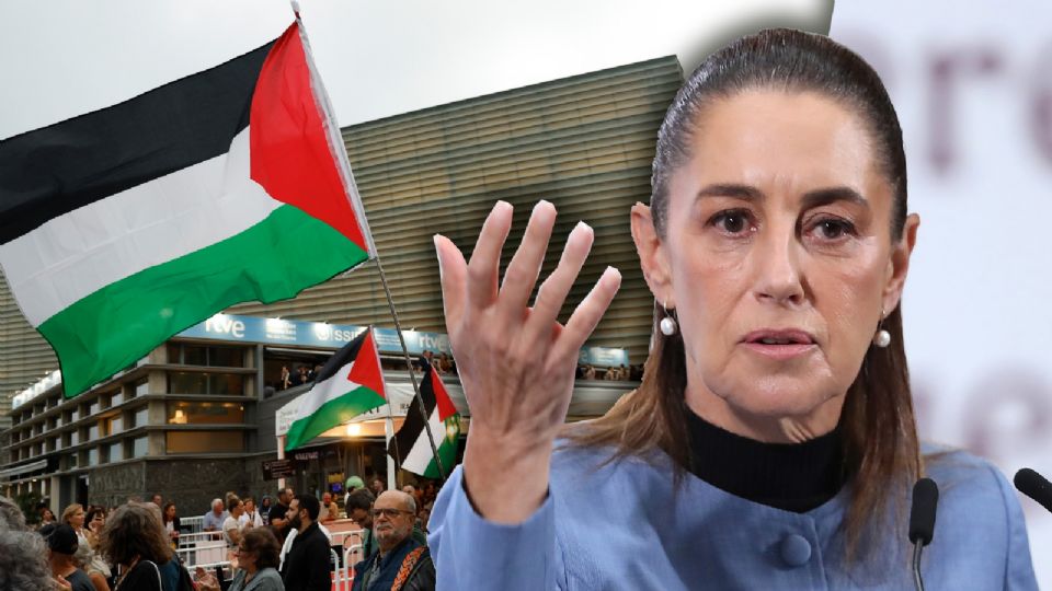 El analista habló de la Asamblea General de la ONU que atenderá genocidio en Gaza y el reconocimiento del Estado Palestino.