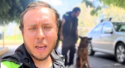 VIDEO | Abandonan a perro pastor alemán entrenado; lo dejaron amarrado a un árbol