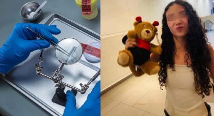 Caso Paloma Nicole: ¿Por qué tardará 20 días en arrojar resultados el estudio forense?