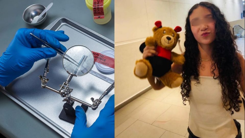 Caso Paloma Nicole: ¿Por qué tardará 20 días en arrojar resultados el estudio forense?
