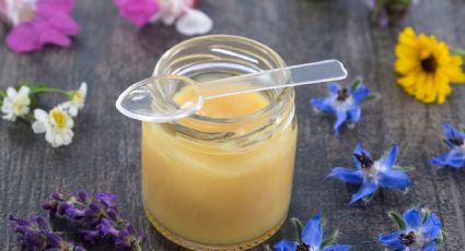 Jalea real: Propiedades, beneficios y por qué es clave en la medicina natural